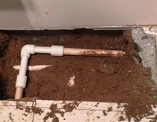 鄯善测漏水哪家好