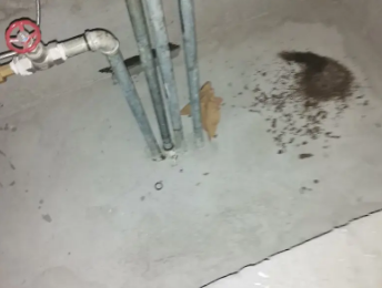 鄯善卫生间测漏水价格明细