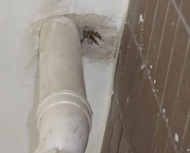 鄯善漏水检测哪家好